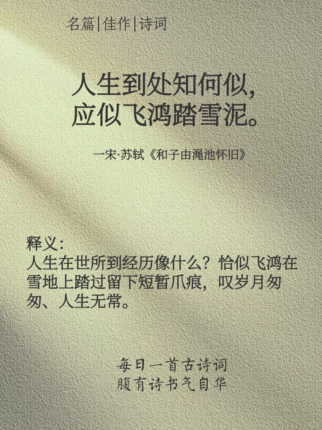 你读过心灵共振的一句诗是？