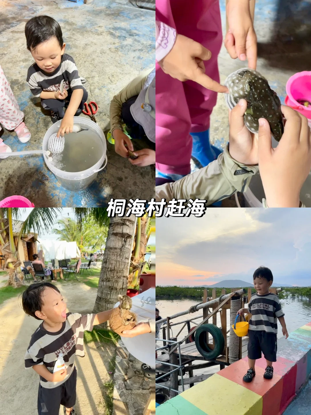 关于我在陵水1200💰租到绿城蓝湾小镇小洋房