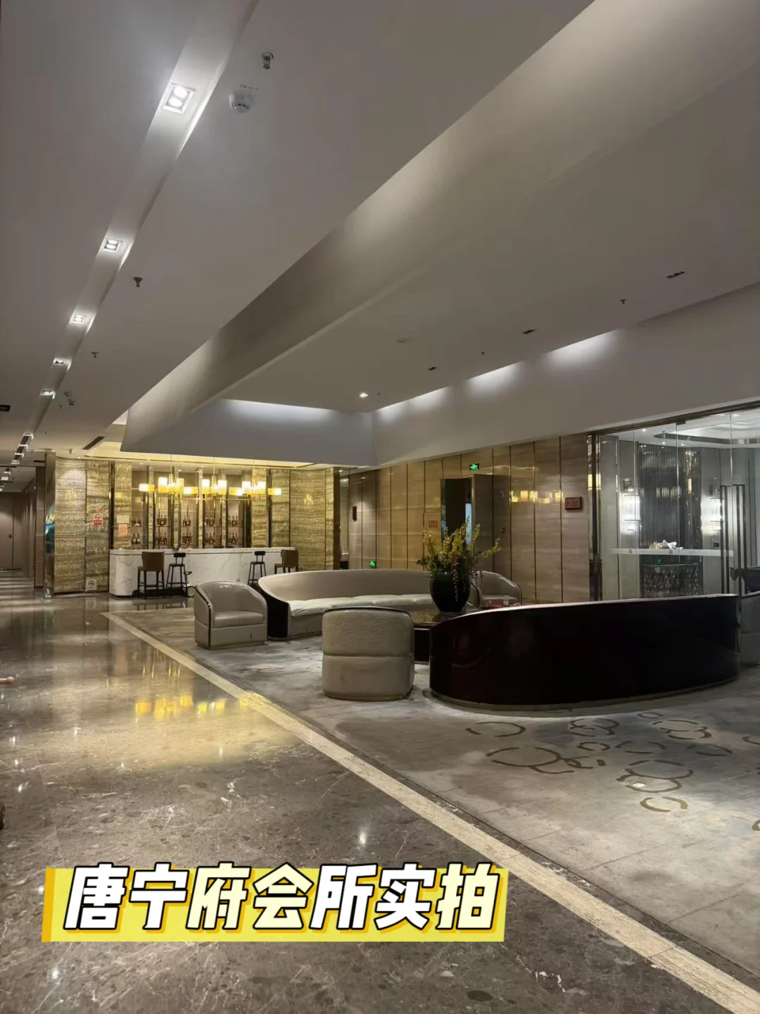 湖东第一豪宅唐宁府跌落神坛…..