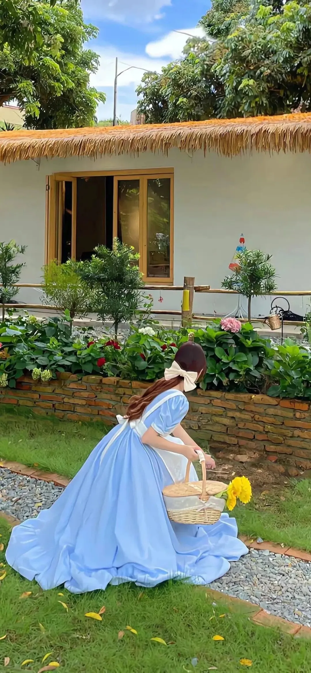 壁纸｜全屏高清美女壁纸