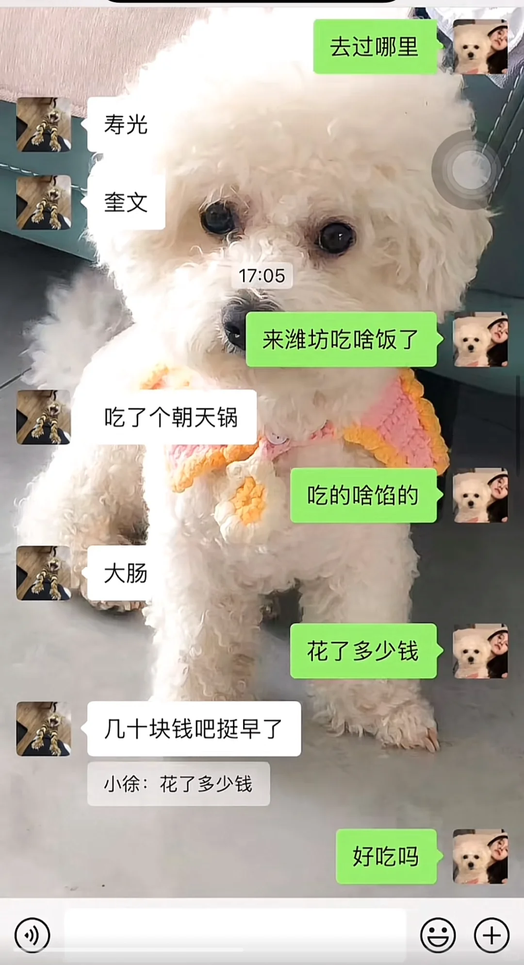 当我学会用男生的方式相亲聊天1