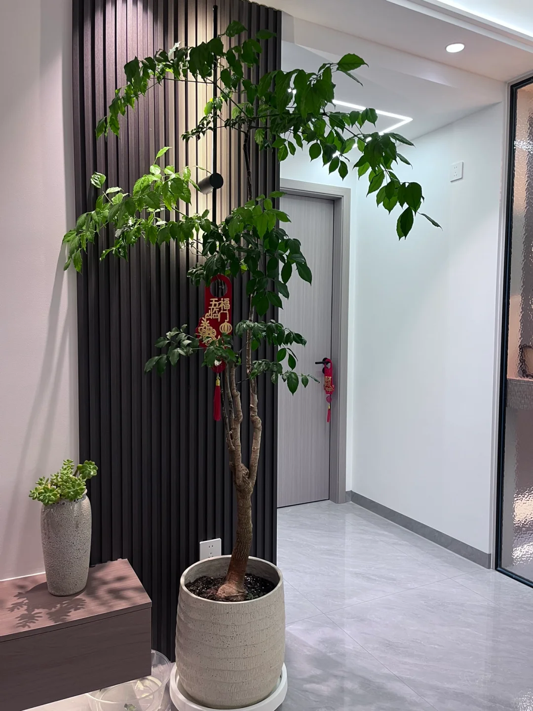 干净简单的小城生活，很富足
