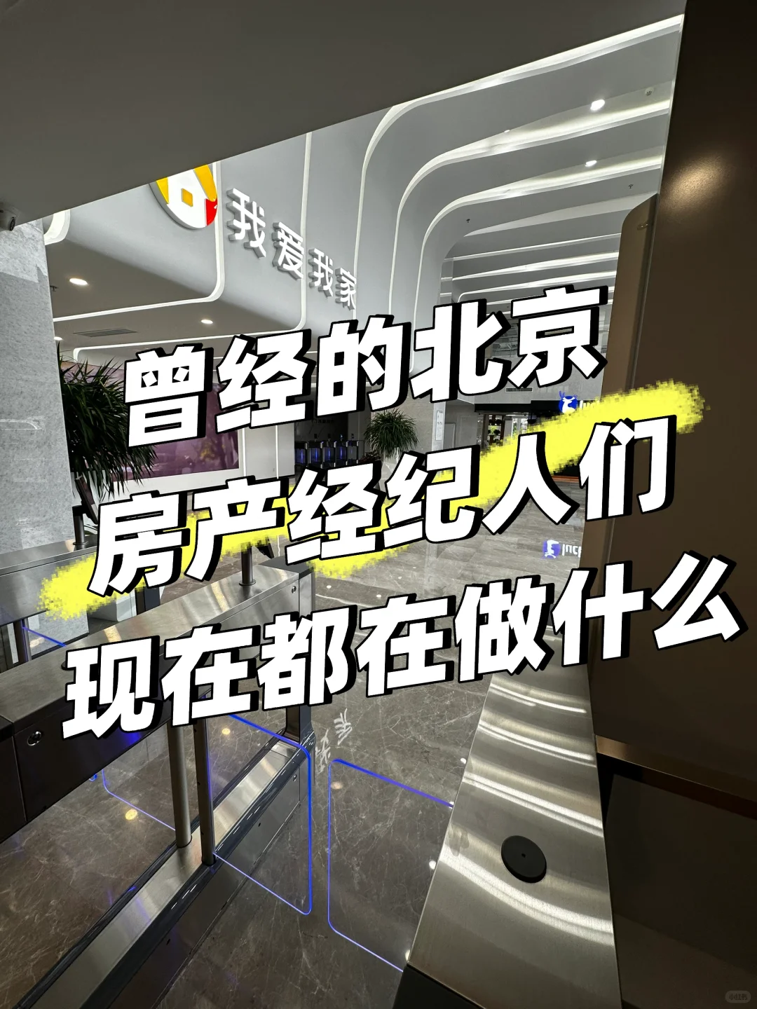 曾经的房产中介们现在都在做什么