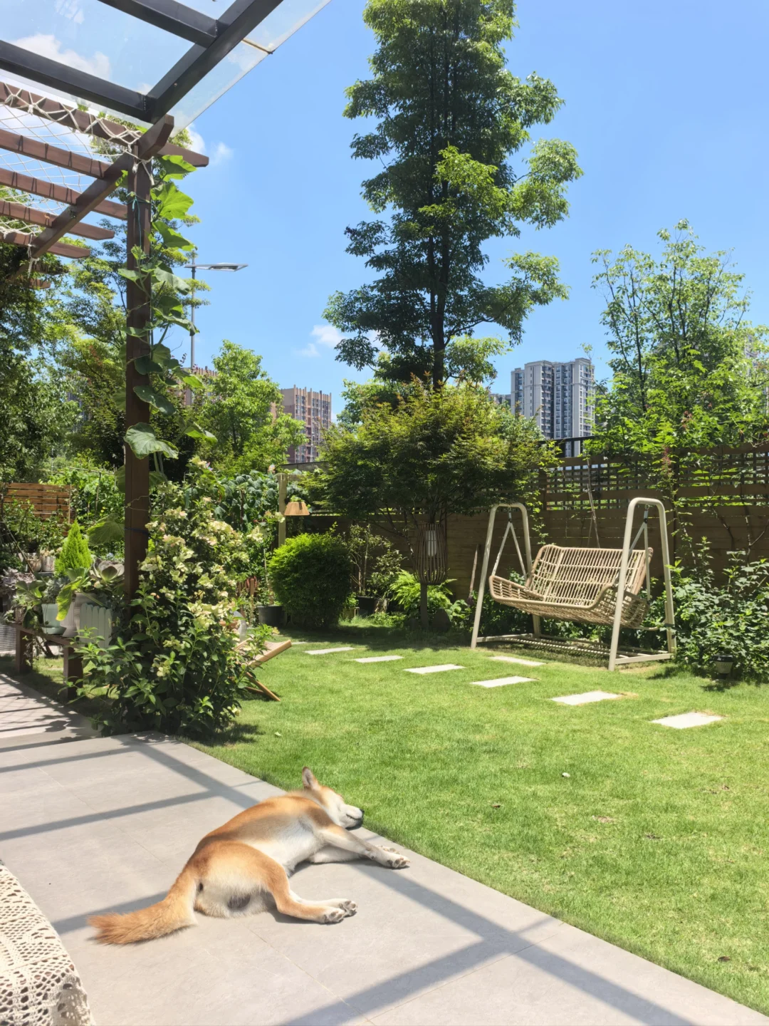住惯了一楼院子房，真不想再回高层了！