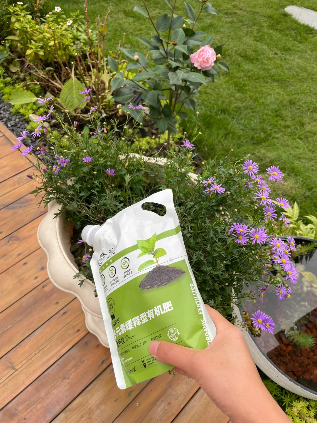 我掏空积蓄买的花园房当然要多享受啊🙃