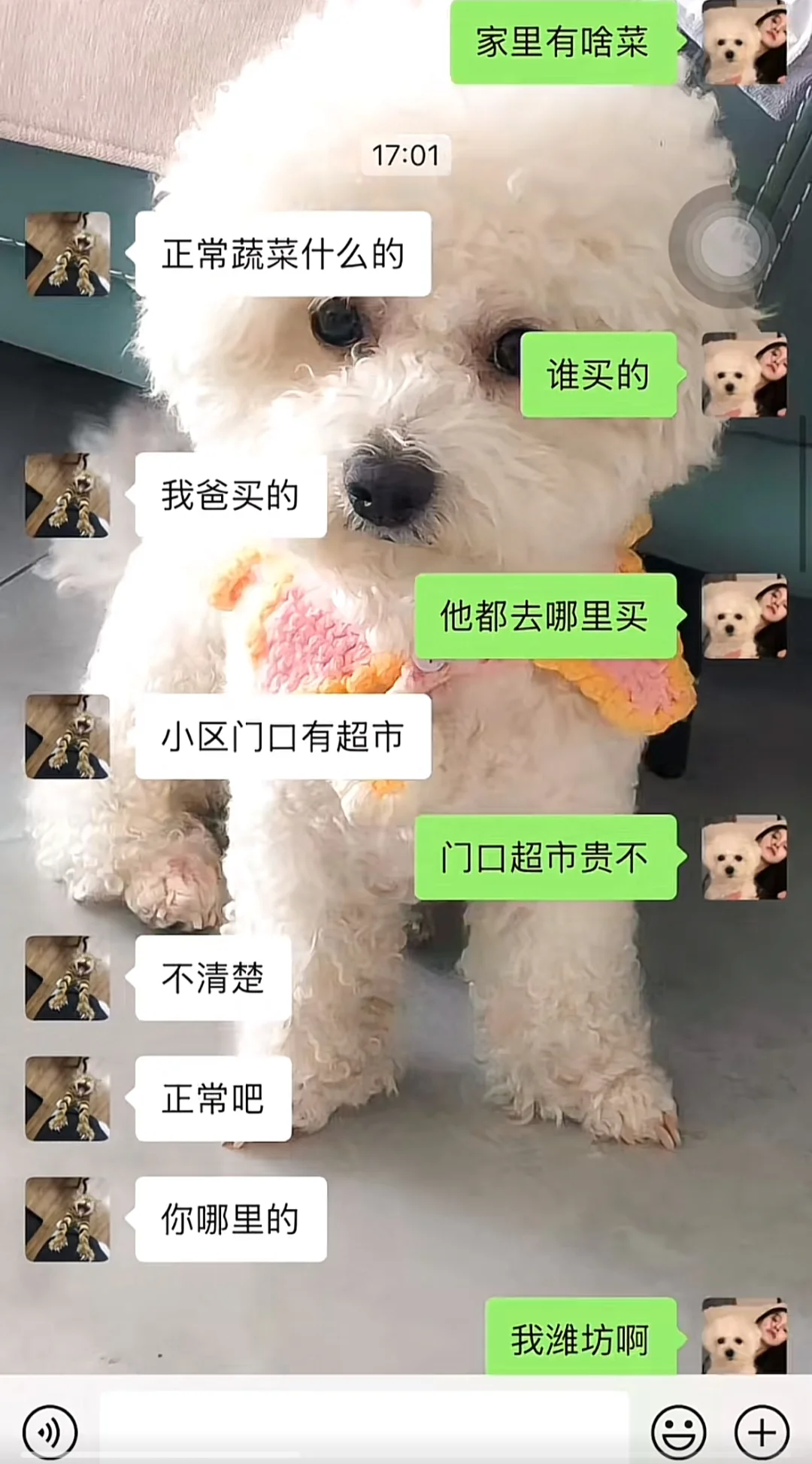 当我学会用男生的方式相亲聊天1