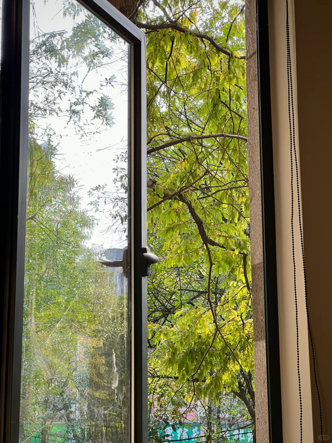 十二张live图 带你见证洋房一楼的美好🏡