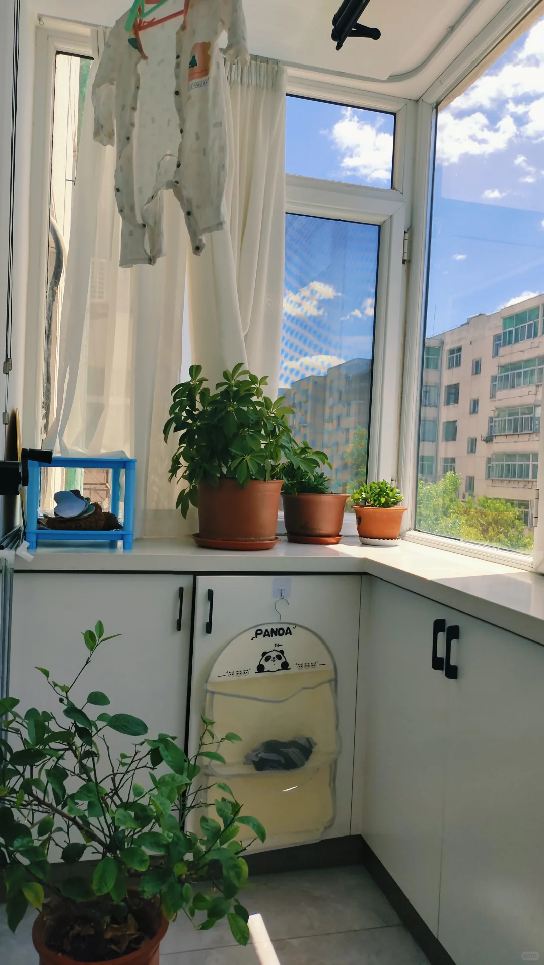 来看一看，这个家怎么样？🏠