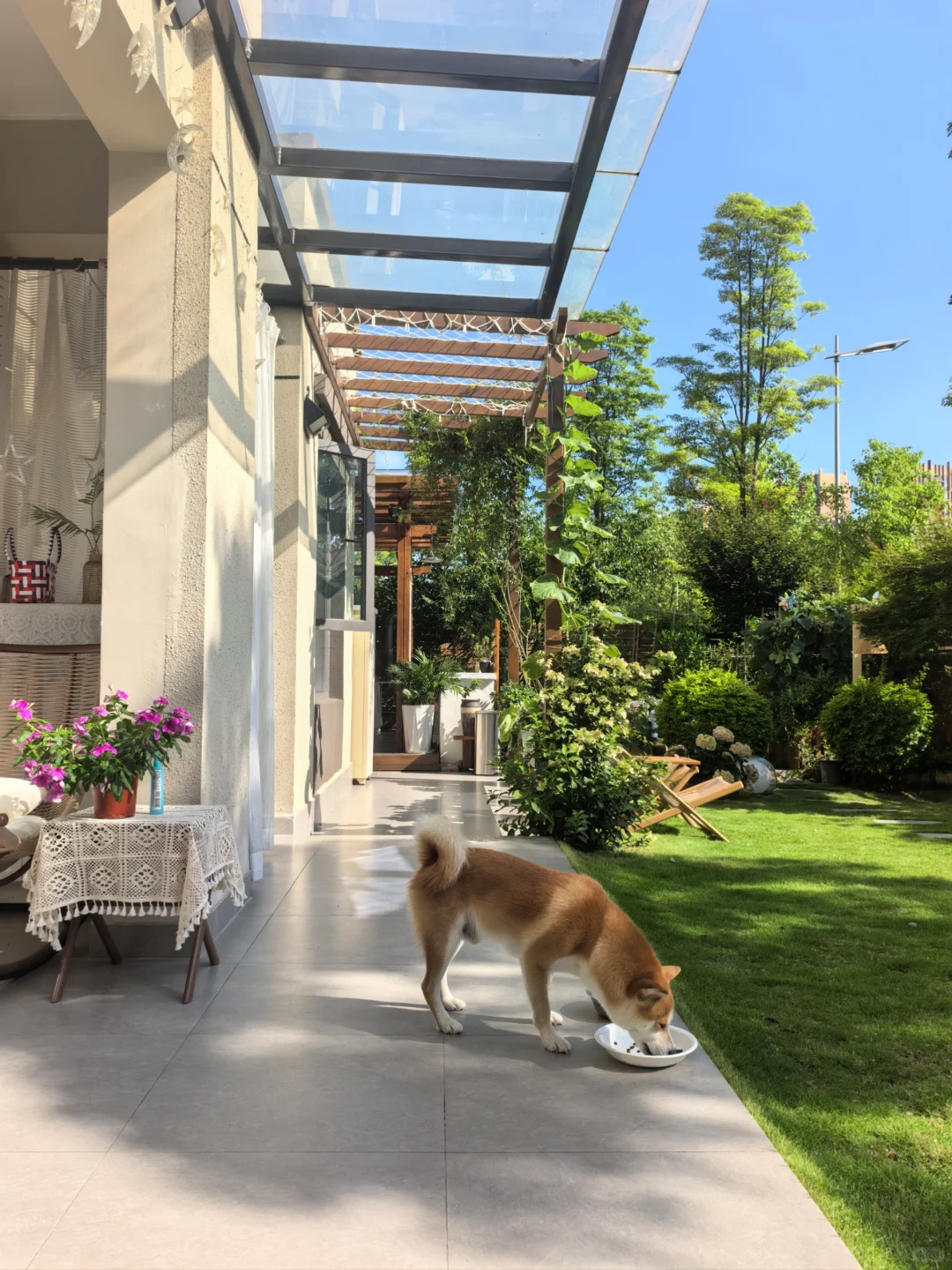 住惯了一楼院子房，真不想再回高层了！