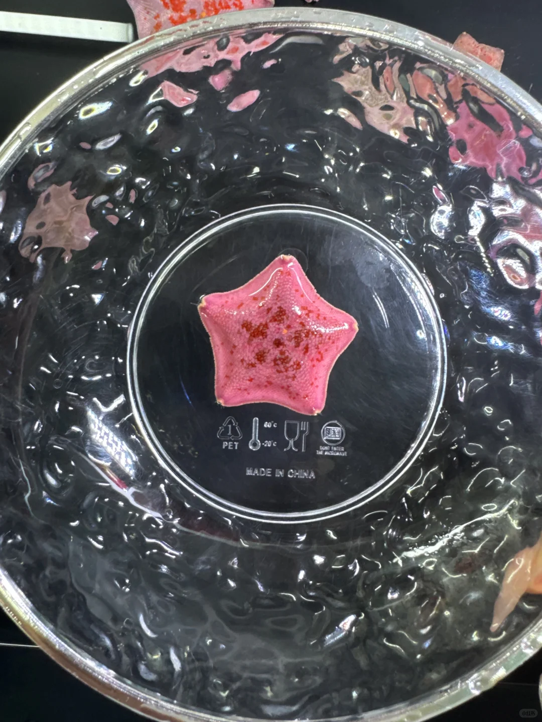 我发现一颗超级“妖艳”哒美星，宝宝们来看！