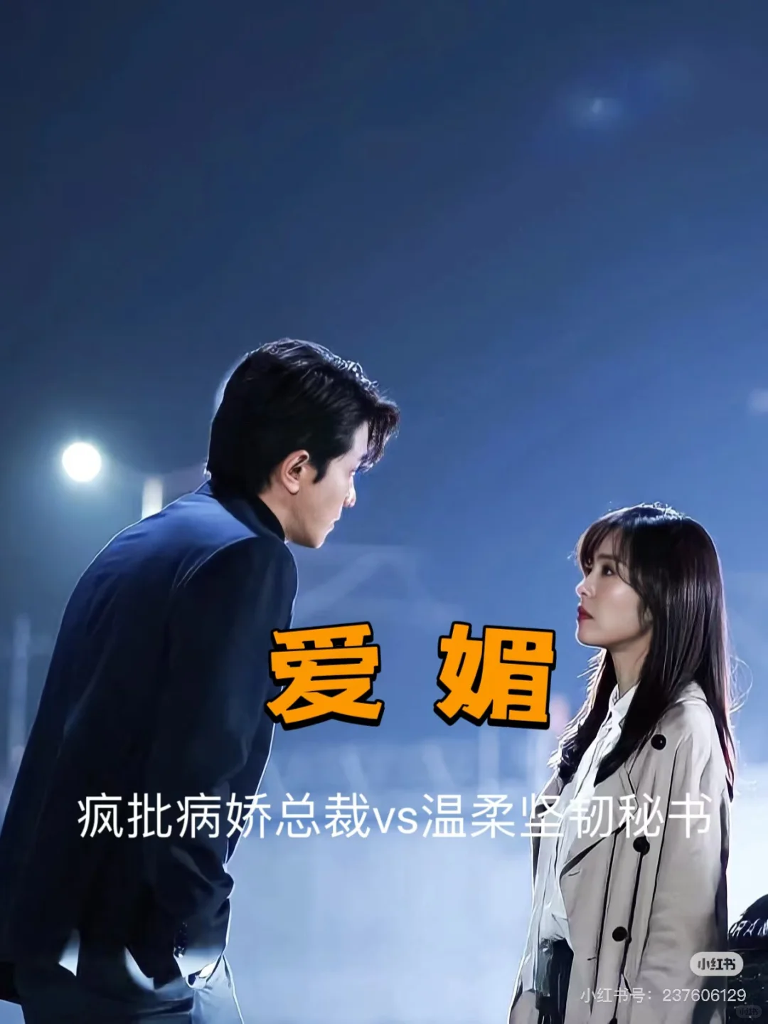 巧取豪夺+病态疯批文《爱媚》by宁不语兮