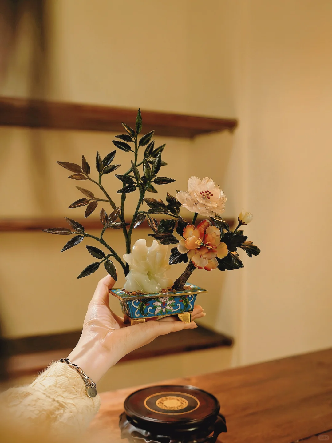 花中尤物｜就这份盈盈一握的花有多美🌺