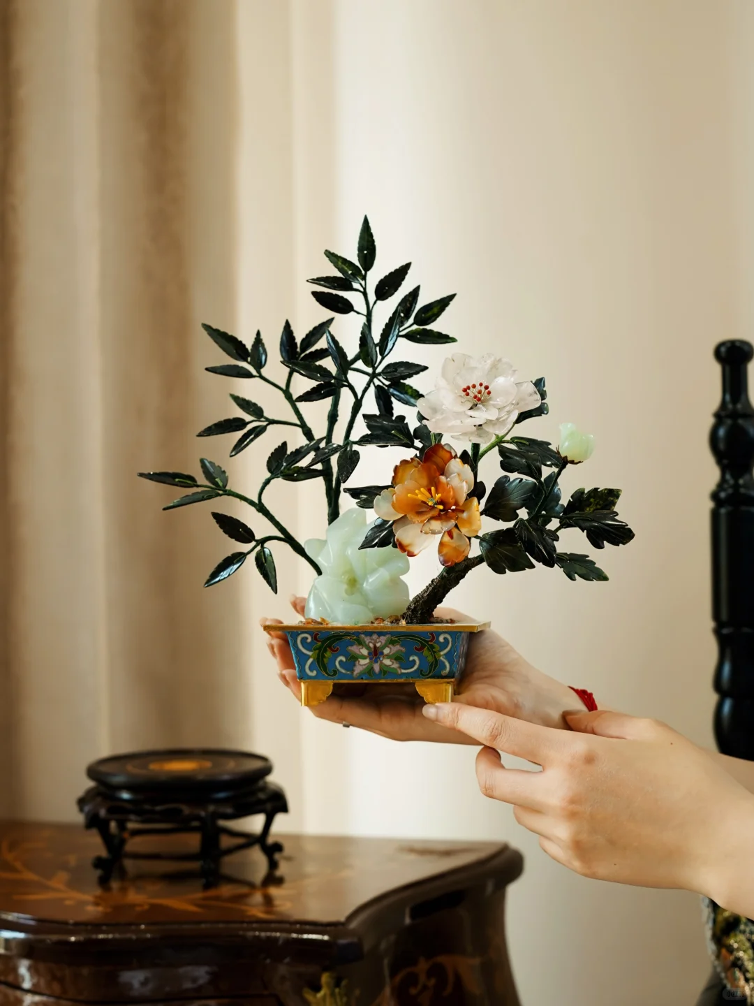 花中尤物｜就这份盈盈一握的花有多美🌺