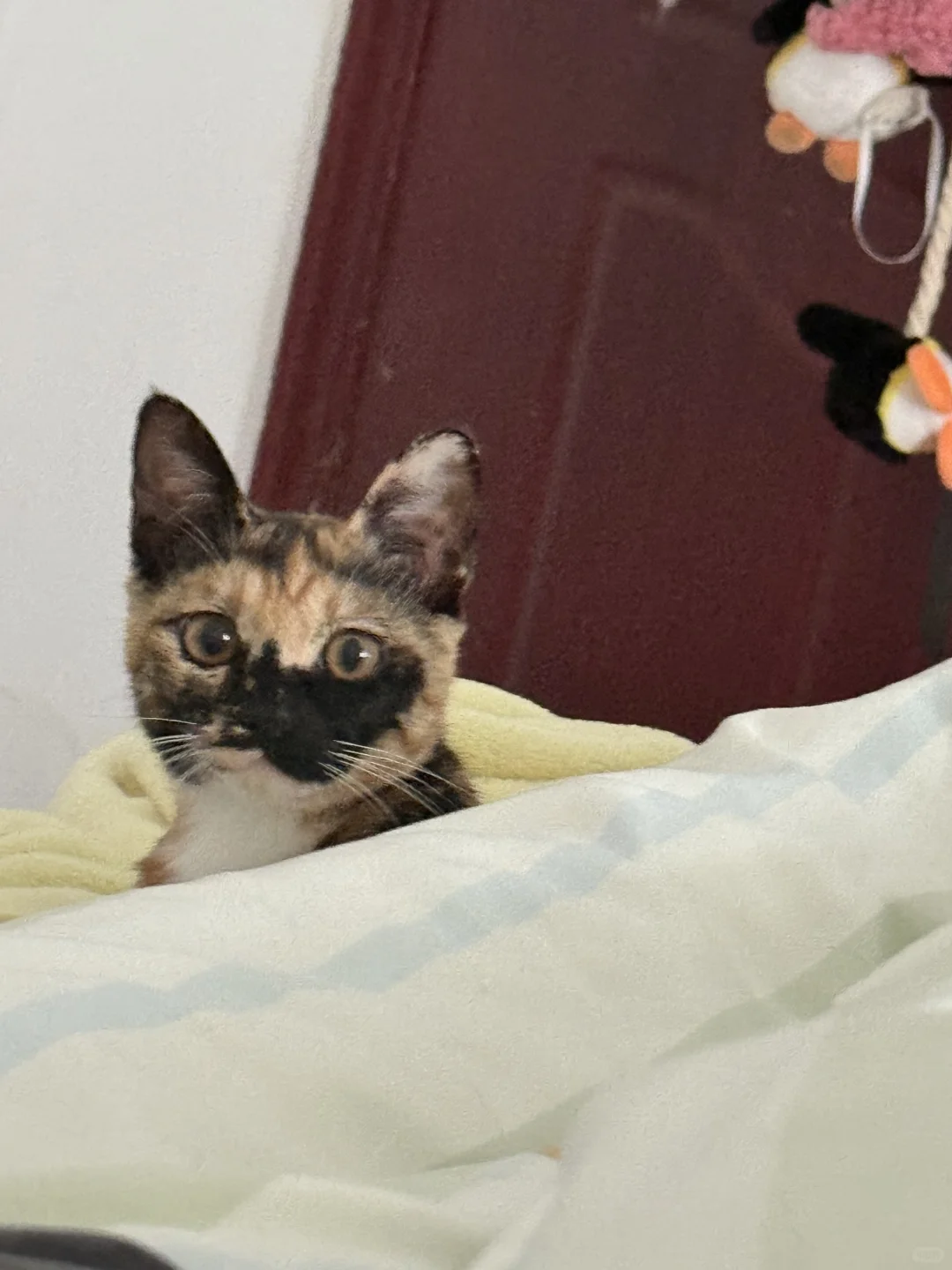不求风骚惊天下，但求猥琐动世人