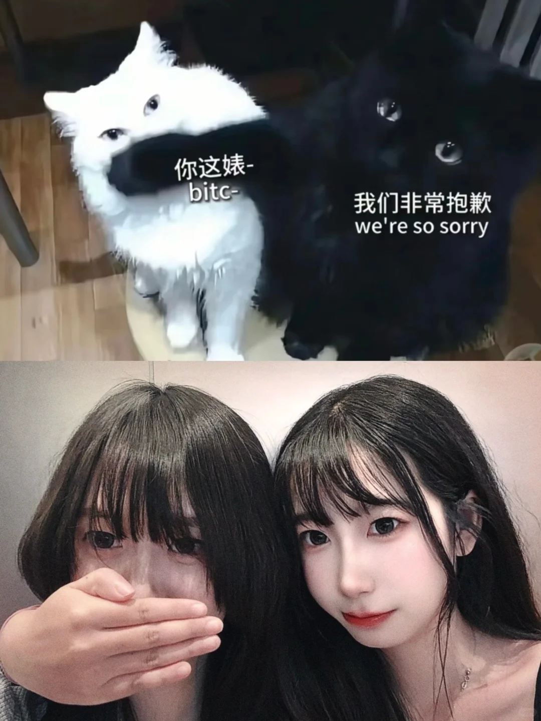 什么把妹王 我只知道对女孩好是我的天赋