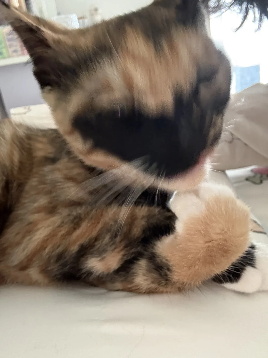 不求风骚惊天下，但求猥琐动世人