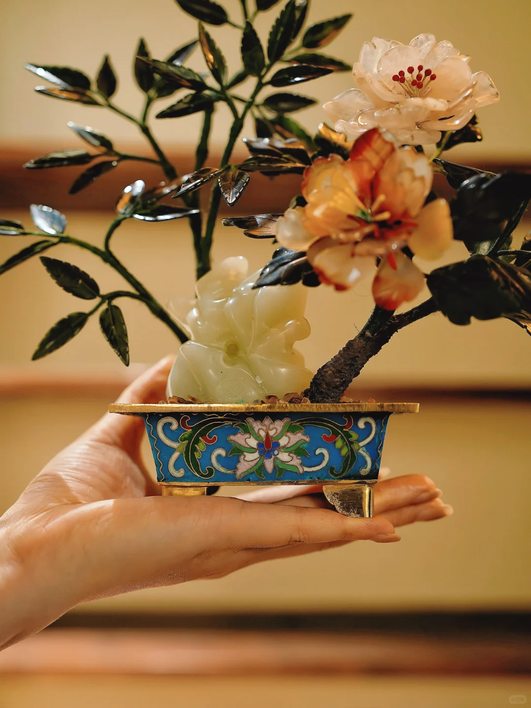 花中尤物｜就这份盈盈一握的花有多美🌺