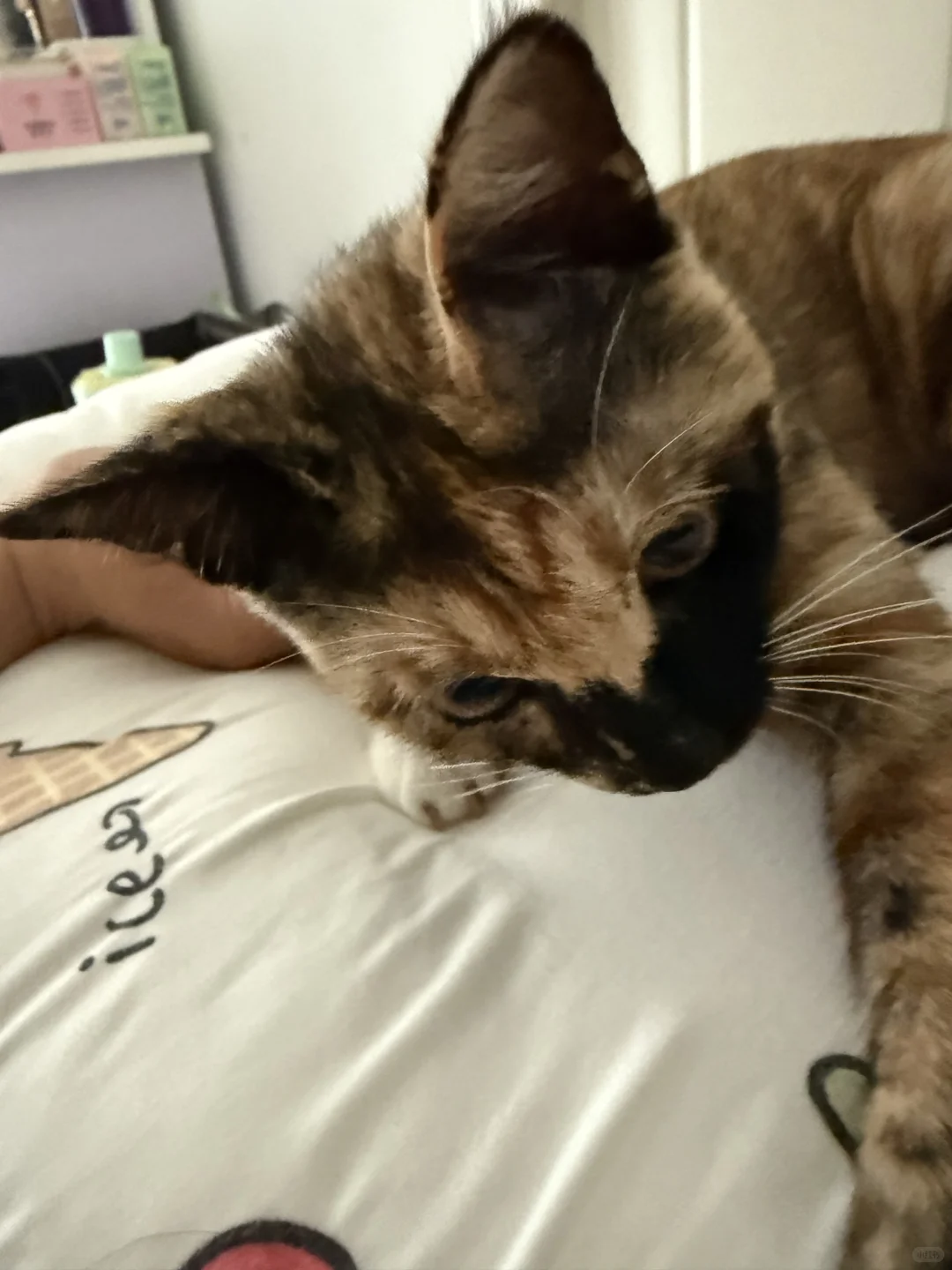 不求风骚惊天下，但求猥琐动世人