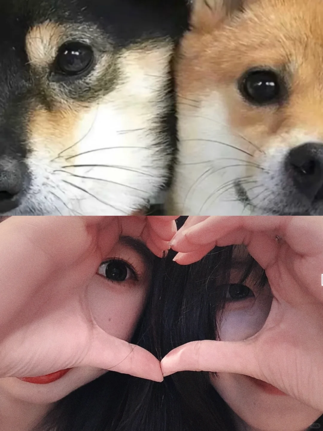 什么把妹王 我只知道对女孩好是我的天赋