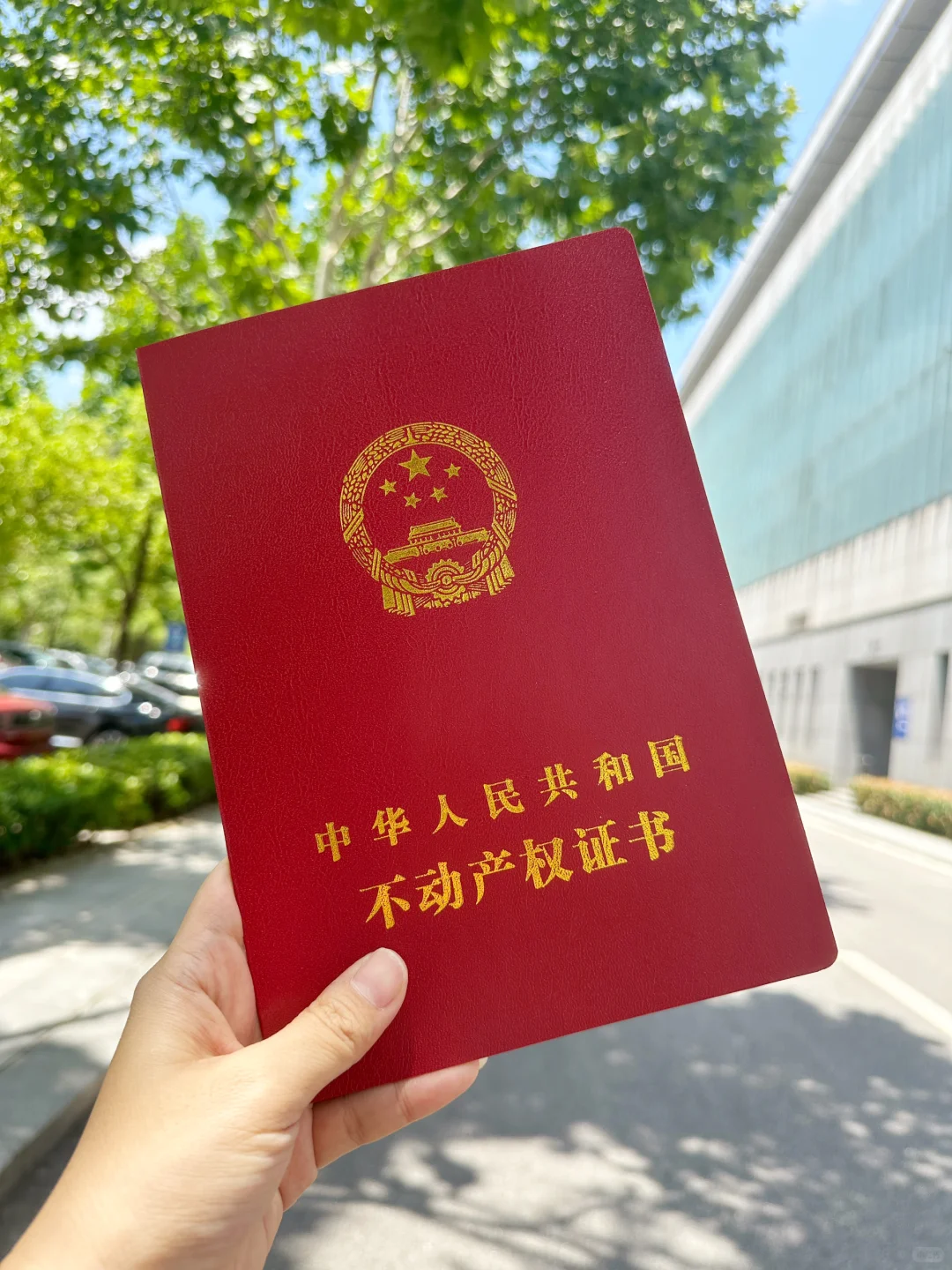 感谢武汉房价大降，终于有自己的窝了。