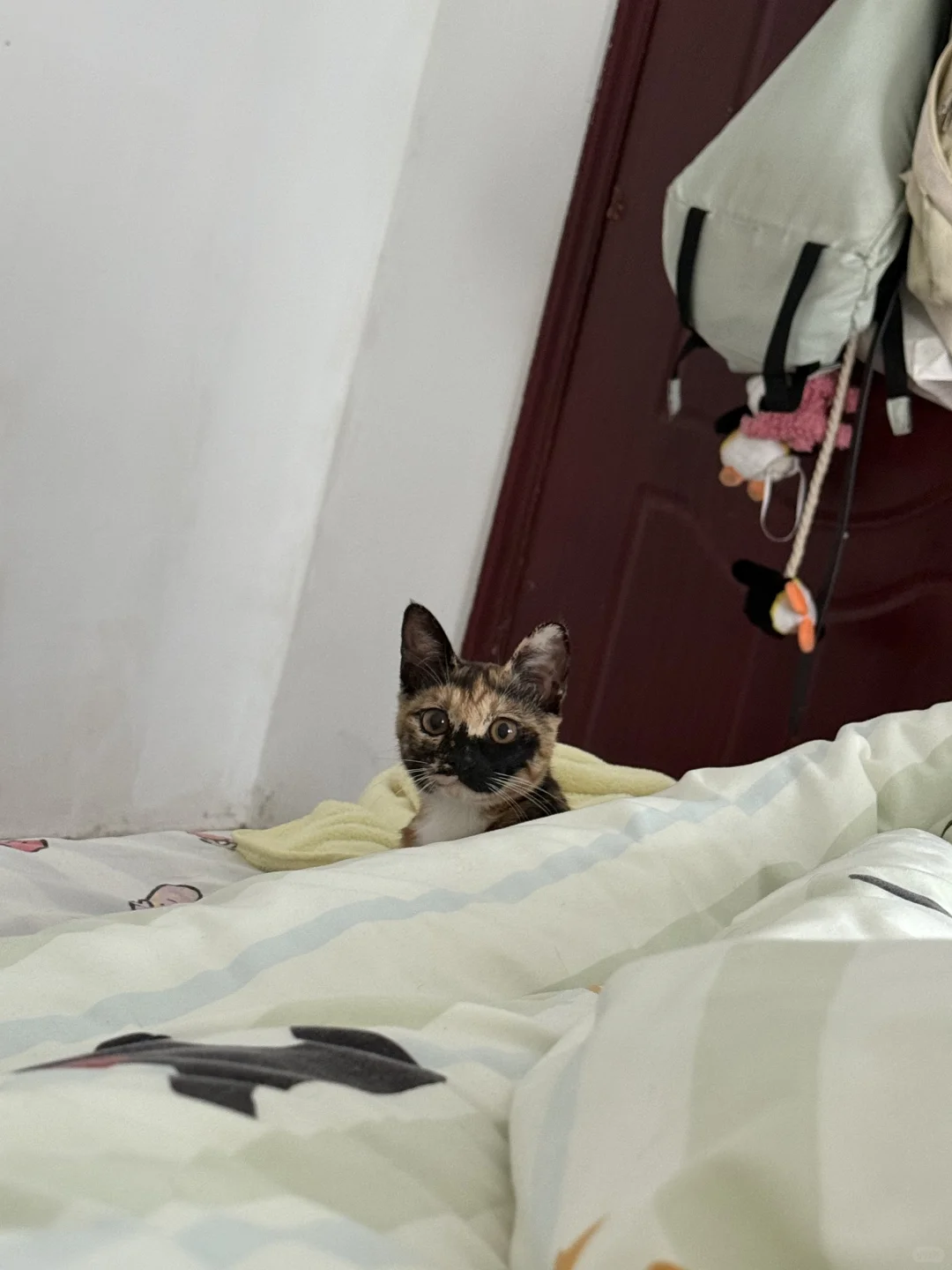 不求风骚惊天下，但求猥琐动世人