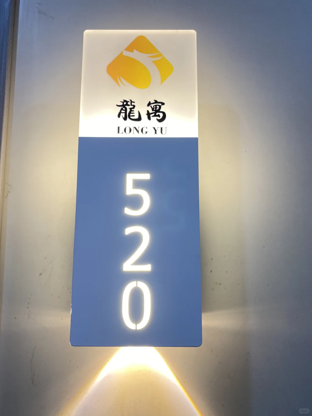 自己房子出租，可养宠物，全新家电的电梯房