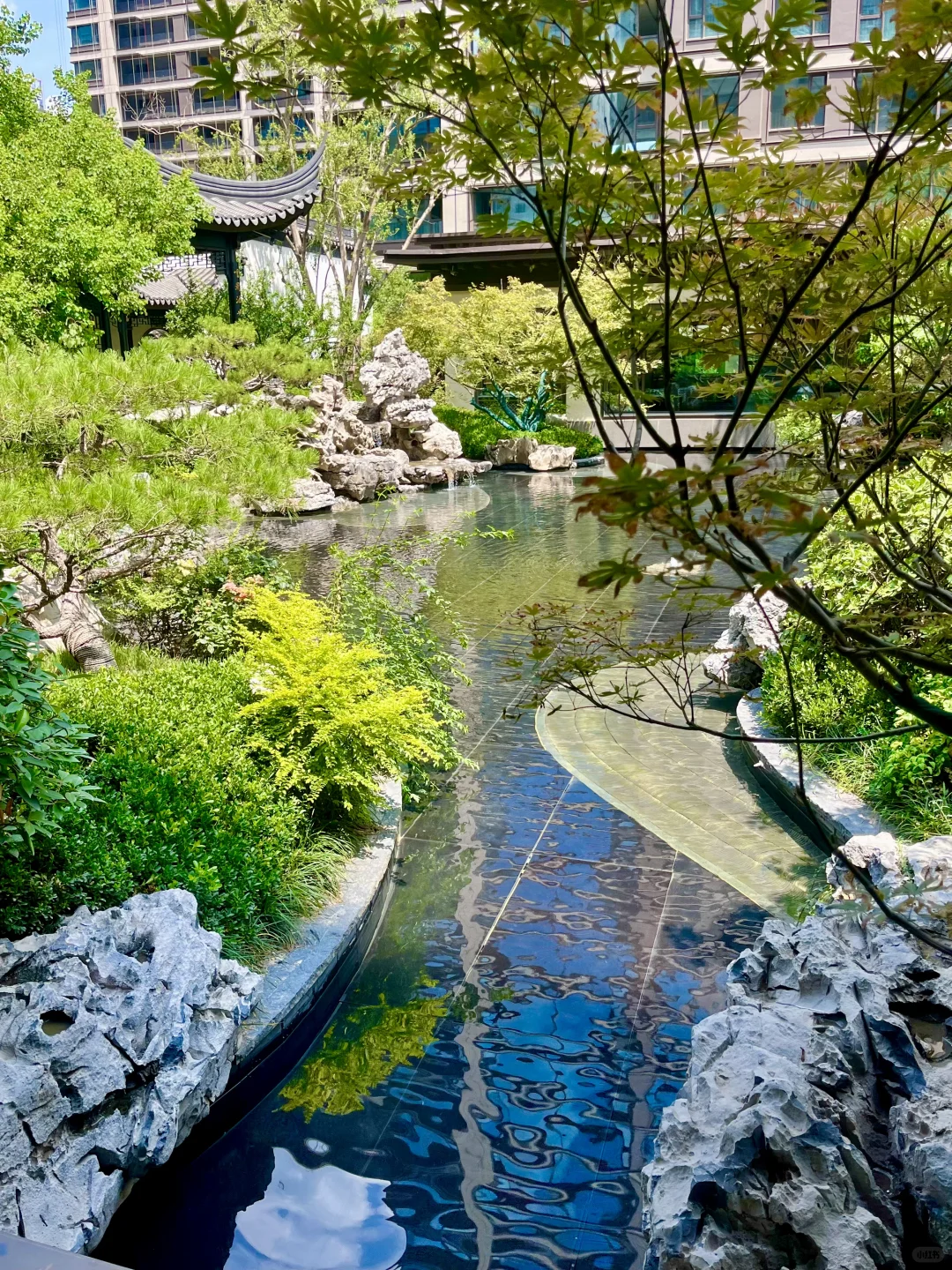 济南！！！这大概就是梦想中的家吧🏠