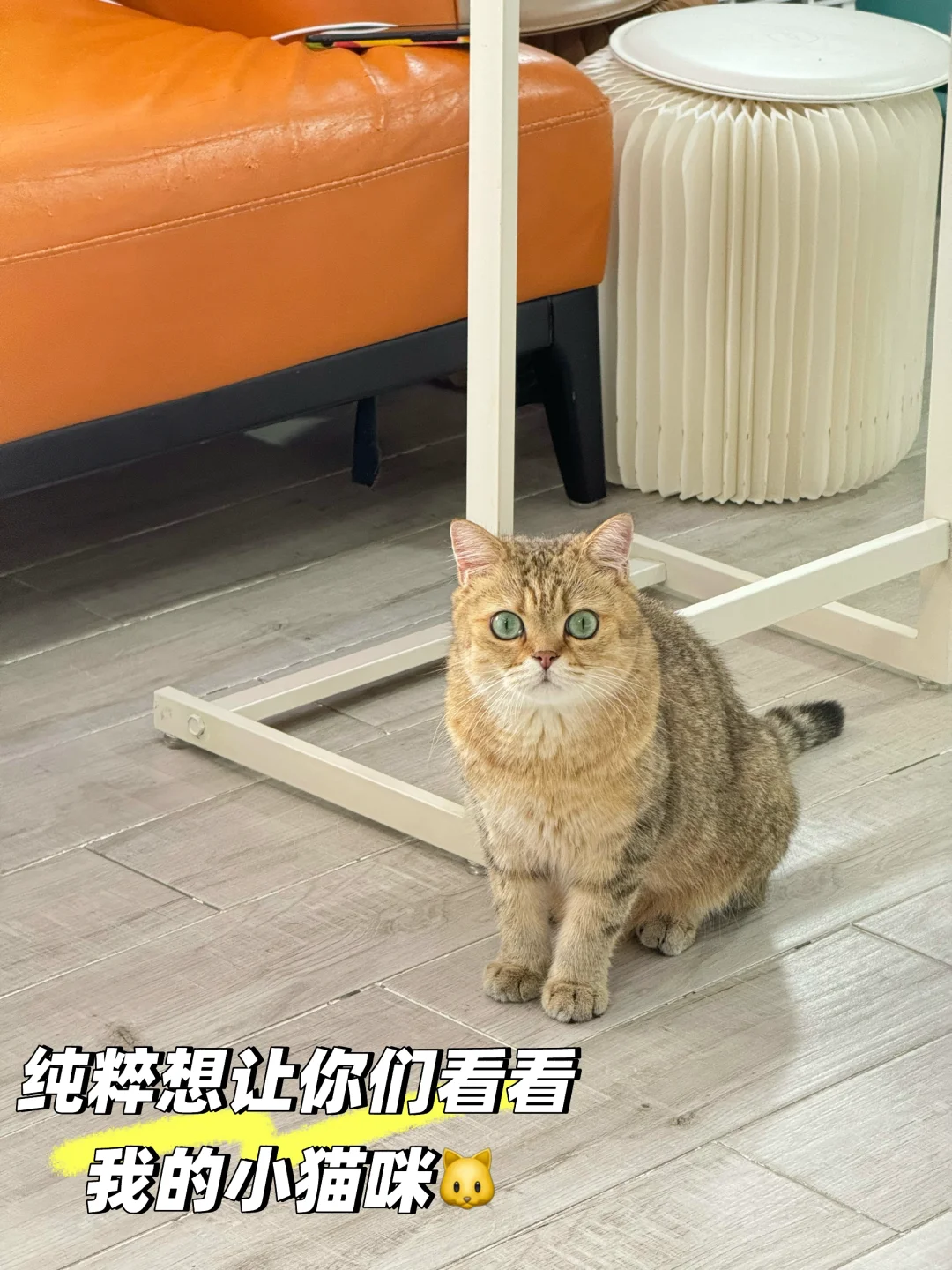 26w电梯房～家电家具全送！海珠区沙园卖房