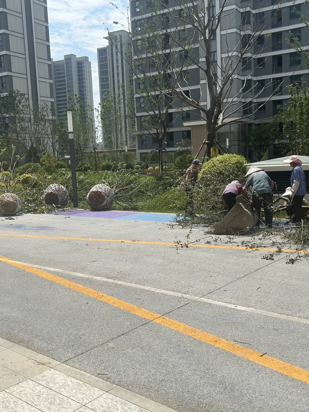 这条街又开始变漂亮了！
