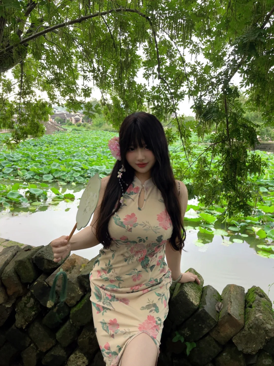我叫牡丹，现在是我家乡最美的时候