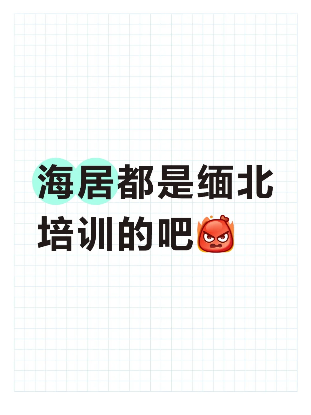 海居都是缅北培训的吧