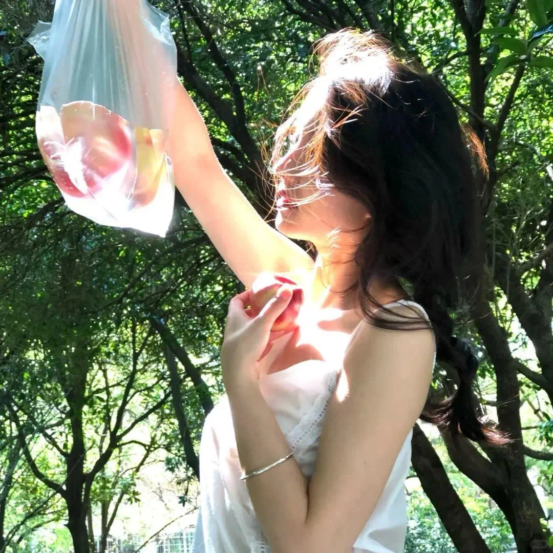 We chat女头｜任君凭栏我栖春山