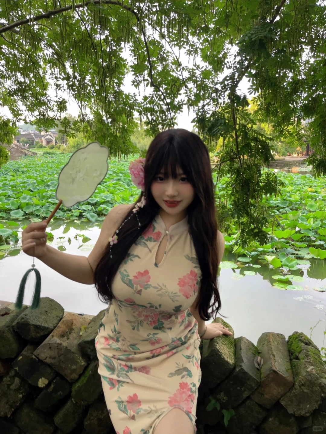 我叫牡丹，现在是我家乡最美的时候