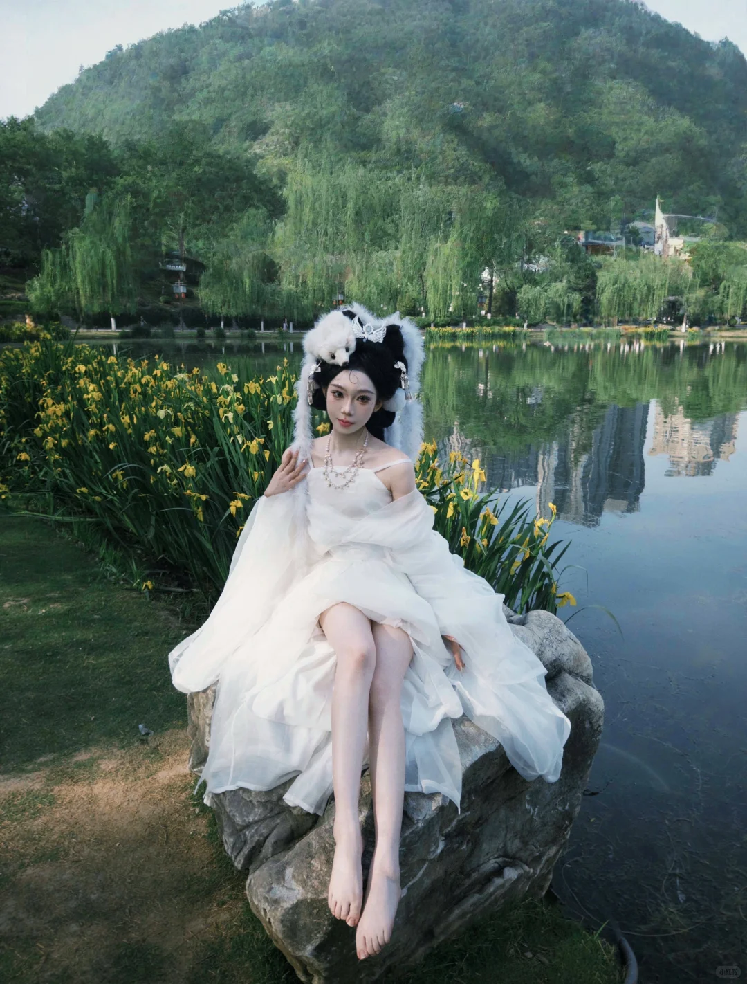 都说狐狸是妖孽