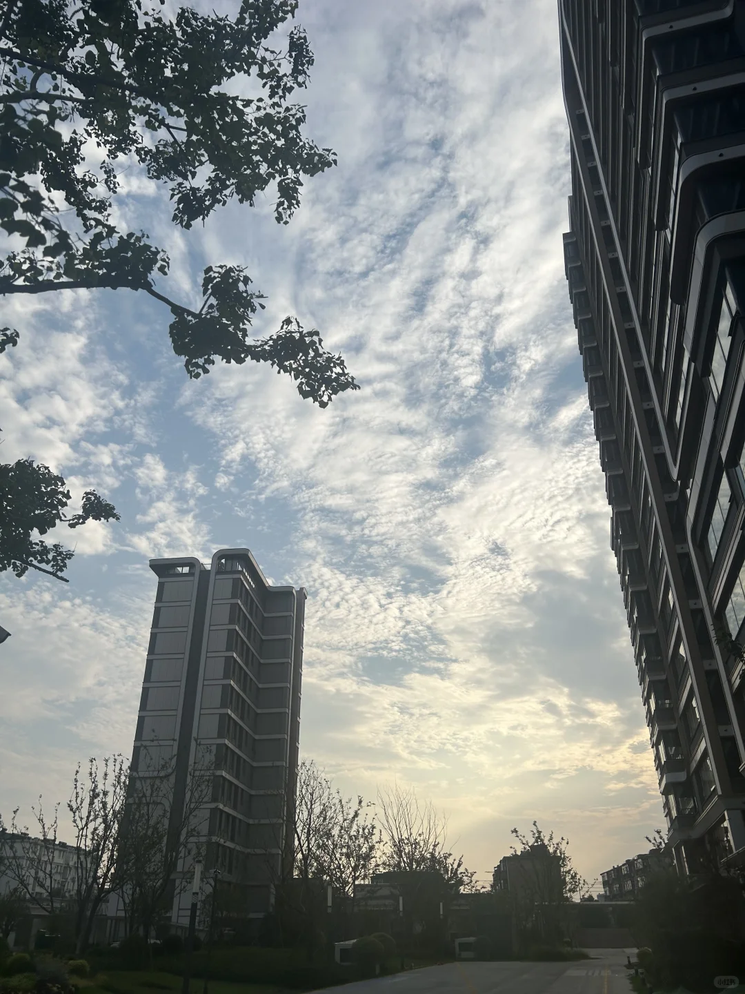 这条街又开始变漂亮了！