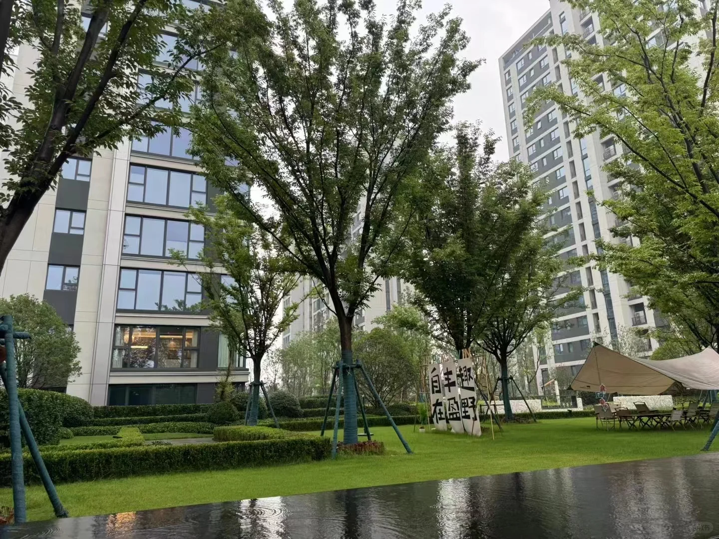 徐州的开发商们别再建黄色外立面的小区了！