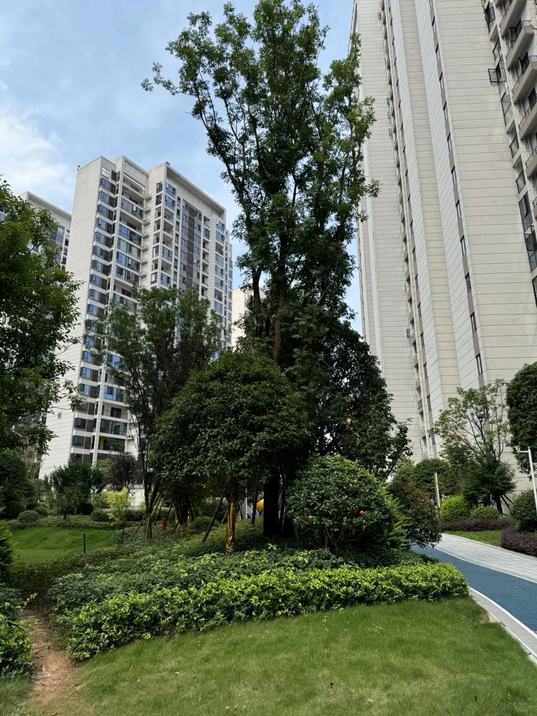 来看看我89个搞定的小区怎么样？