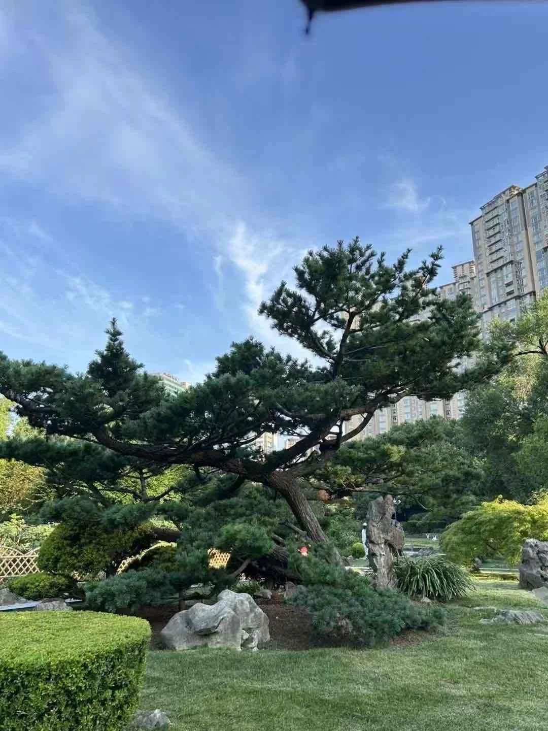 有点妖娆吧兄弟！