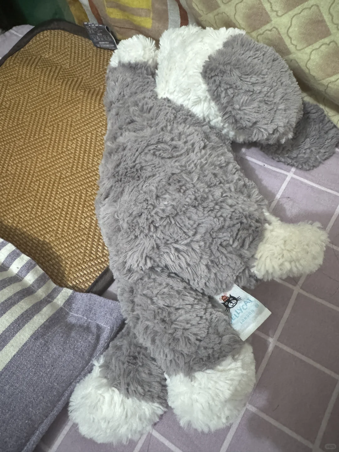 一觉醒来发现床边趴着的妖娆小狗