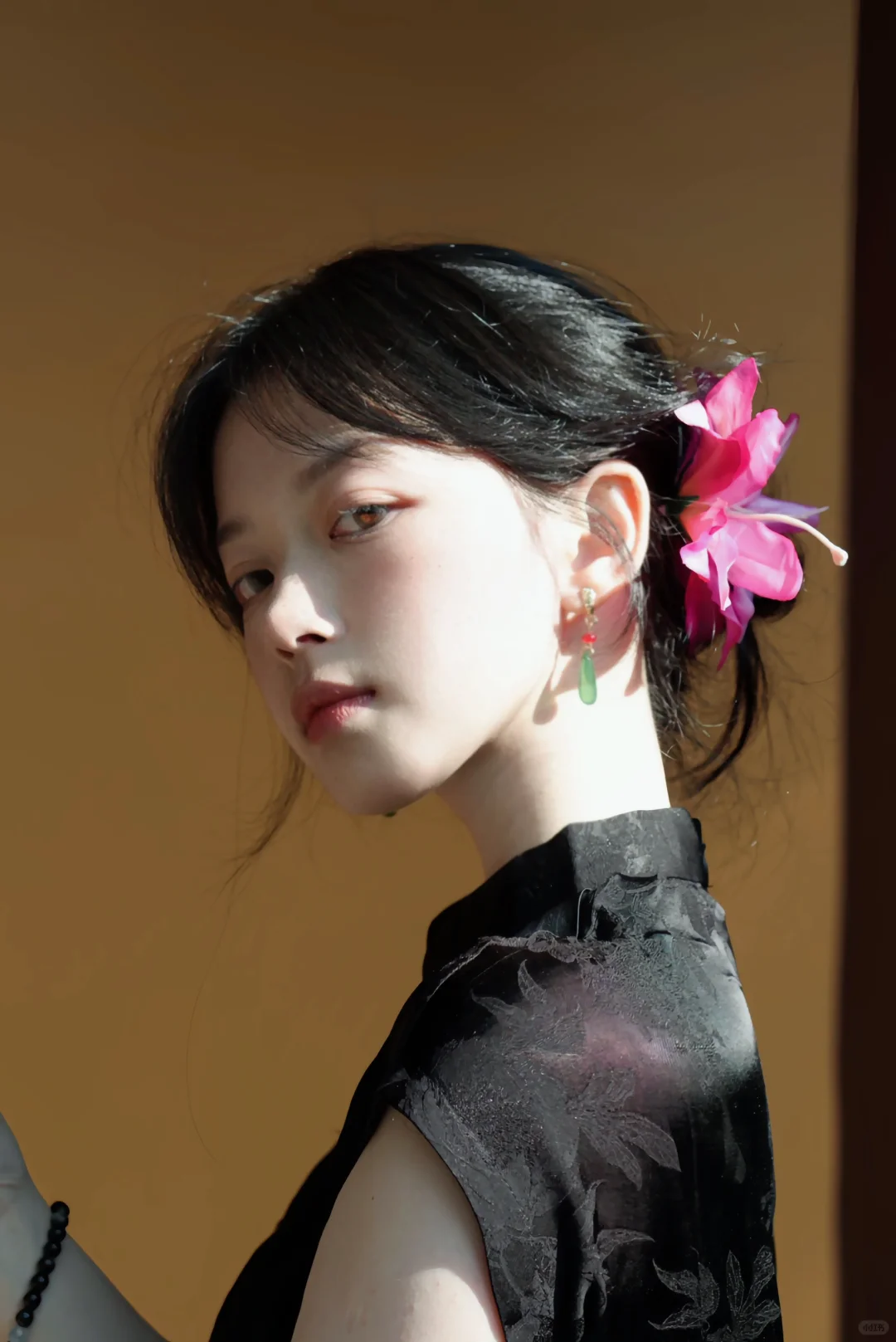 俯仰流年二十春