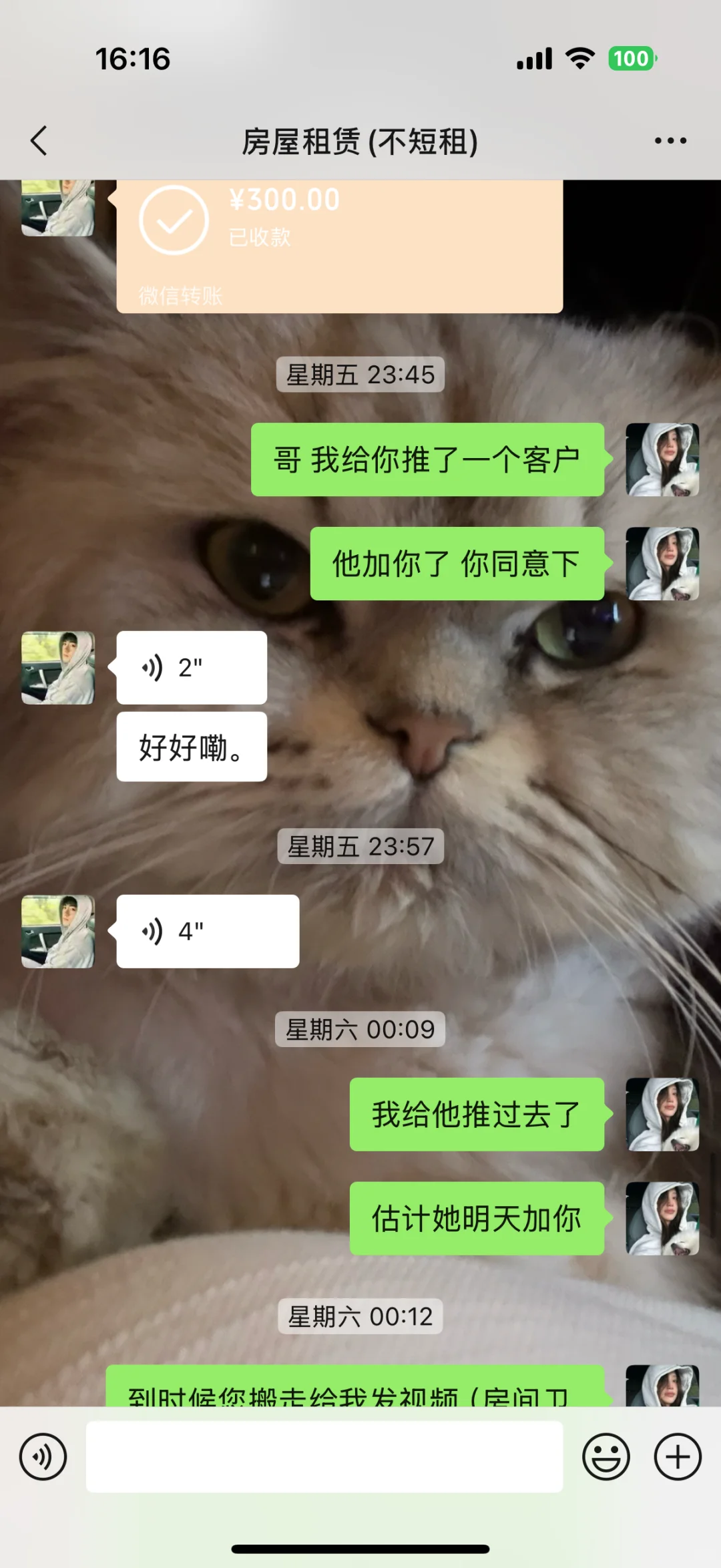 石家庄靠谱良心中介！！！