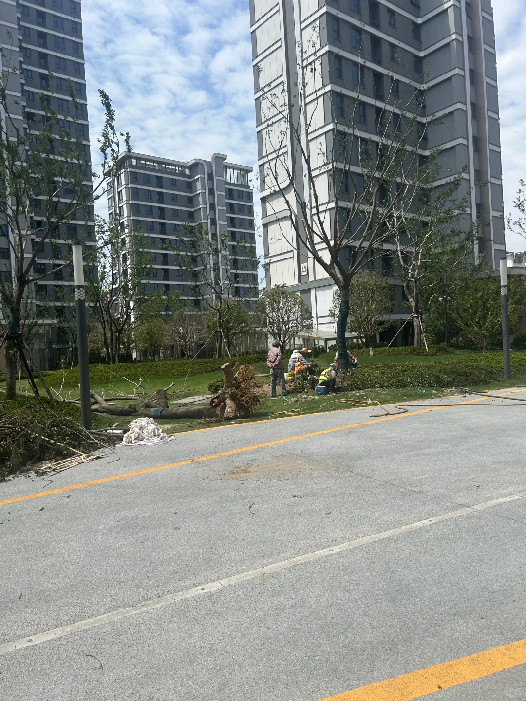这条街又开始变漂亮了！