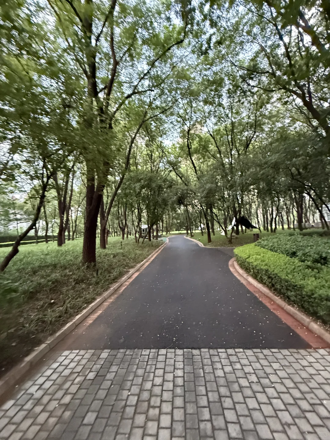 本想一家人一起住，现在要分开，赔本2000W出