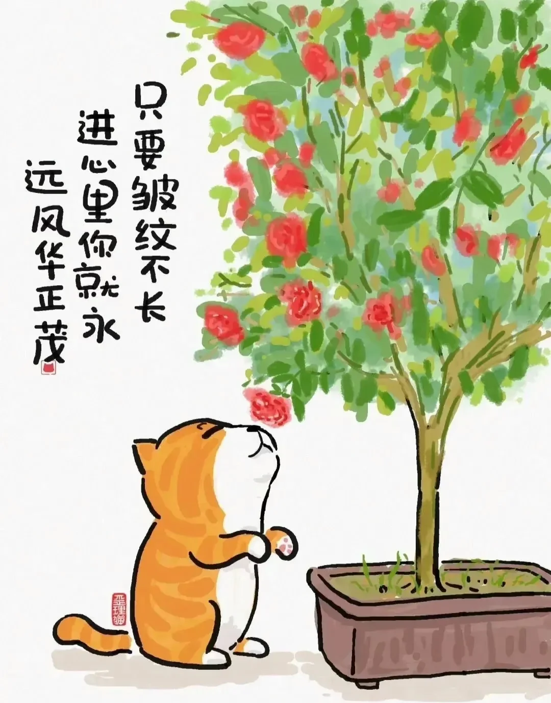 人生歪理，风骚精辟
