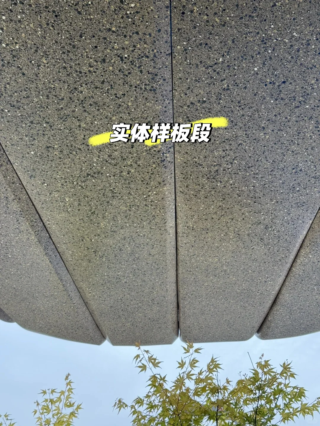 成都豪宅vs 新加坡EDEN公寓
