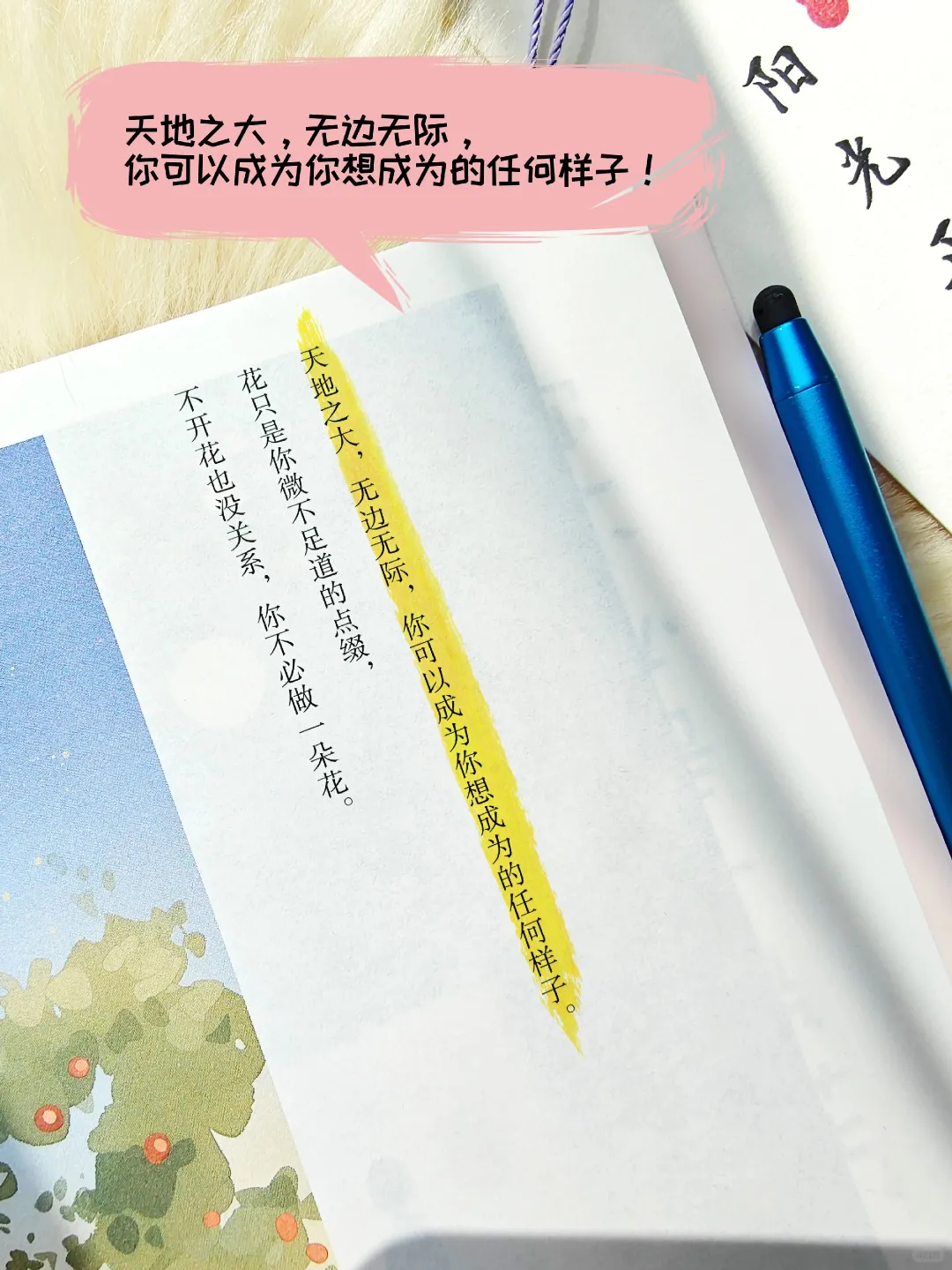 不做娇艳花朵，做自由生长的树🌳