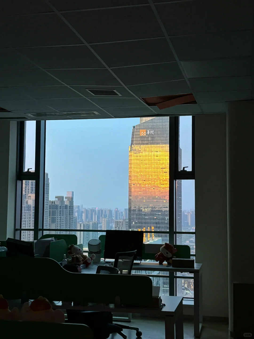打工人版日照写字楼🌆