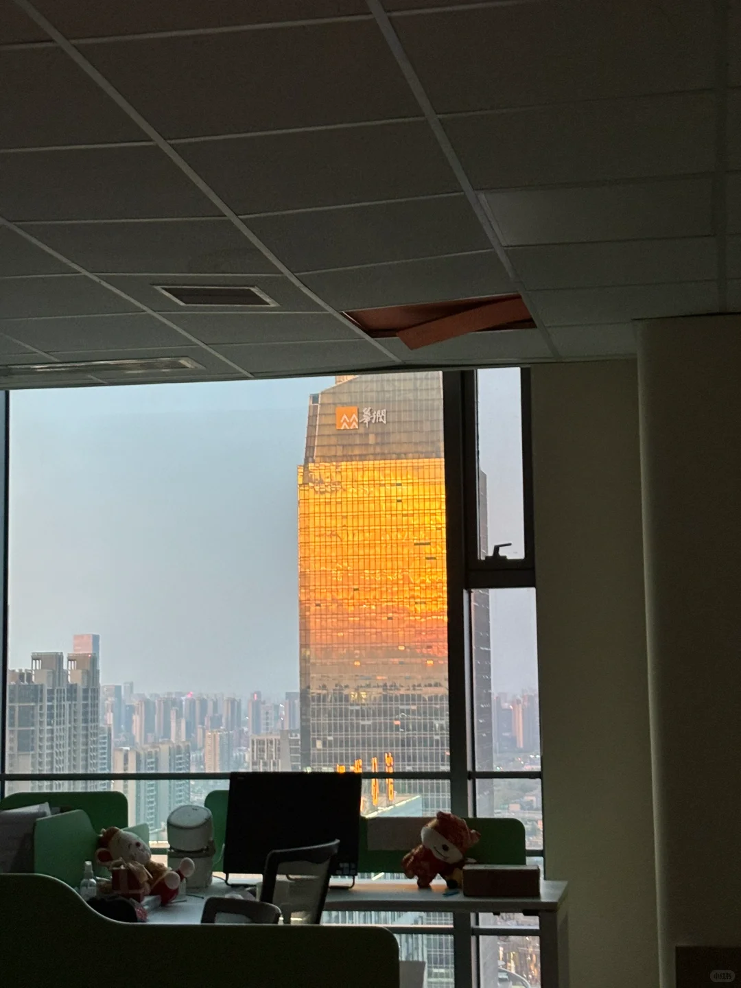 打工人版日照写字楼🌆