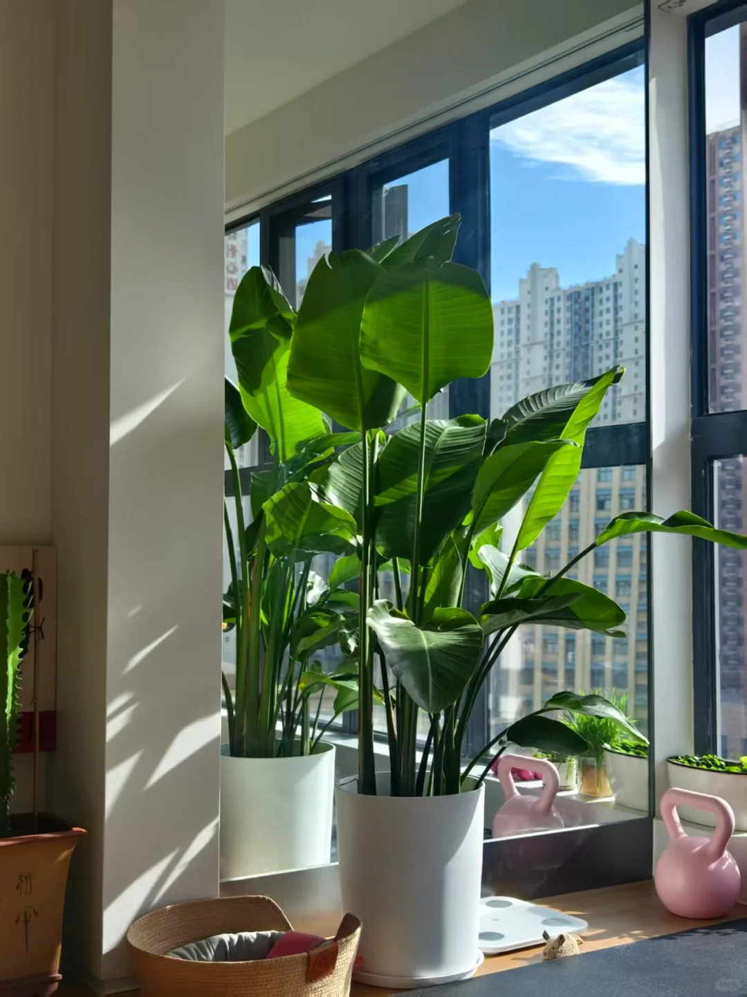 小红书卖房第四天