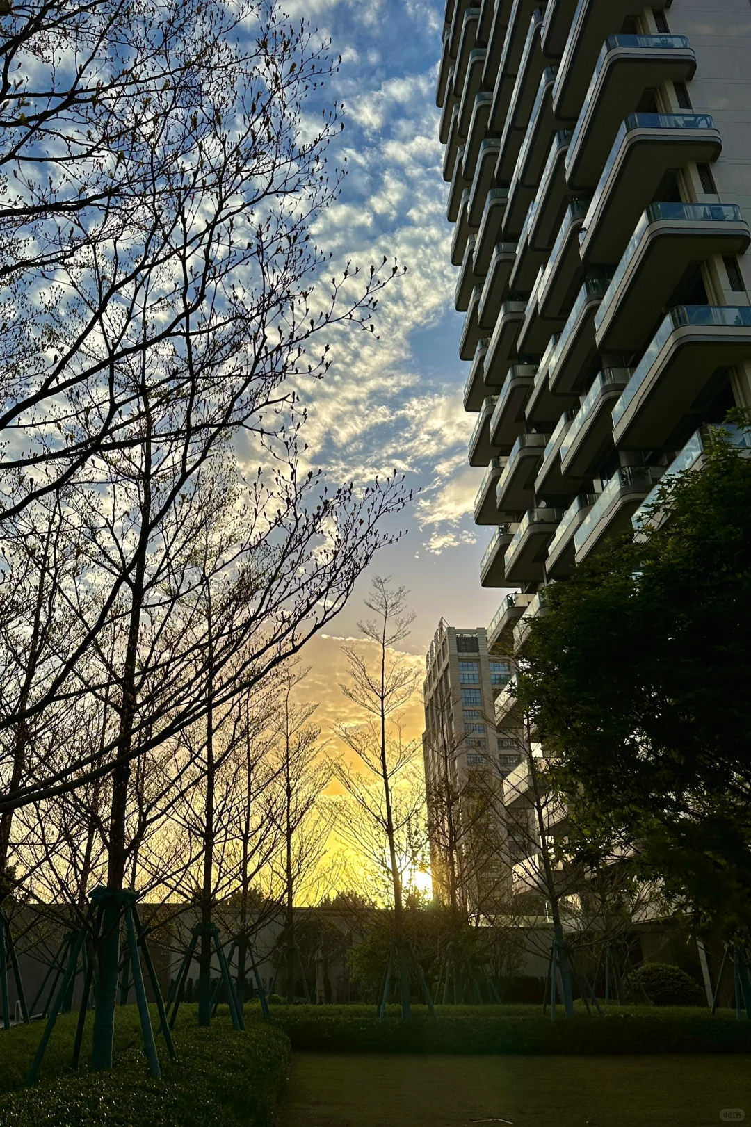 光影下的四代住宅